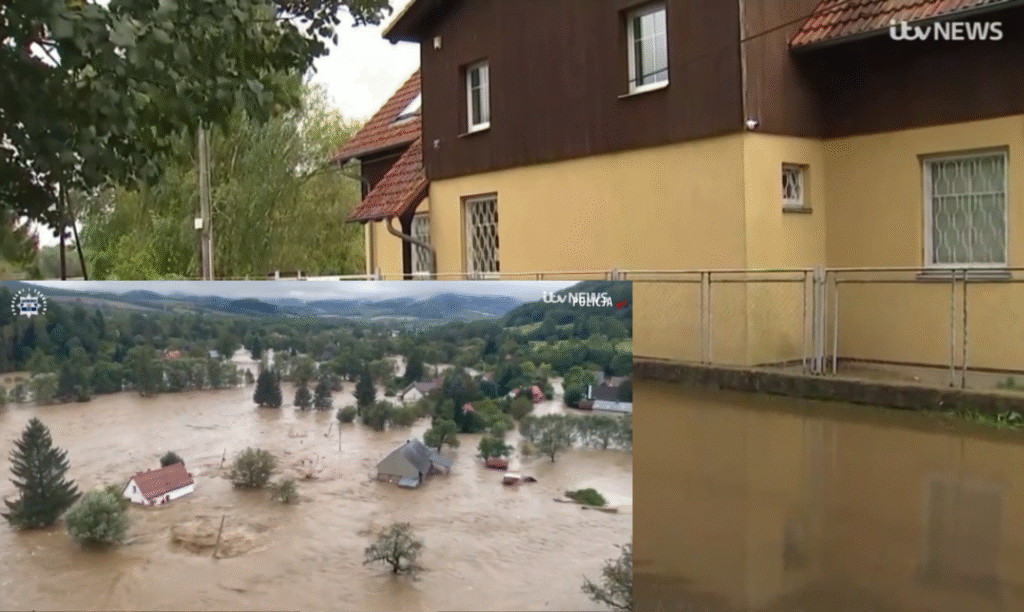 untitled design 10.png