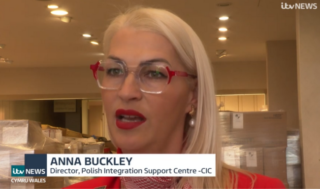 untitled design 9.png